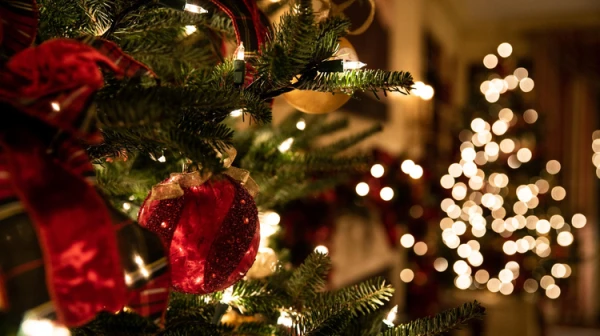 “It’s Dangerous!” Residents Urged to Remove Lights from Christmas Trees