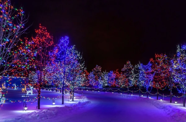 Meteorologists named the date of the beginning of astronomical winter in Latvia