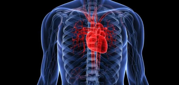 A Factor for Sharp Reduction in Cardiovascular Risks Identified