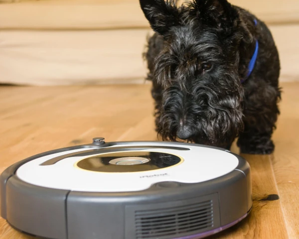 When the Dust Settled: Robot Vacuum Manufacturer iRobot Filed for Bankruptcy