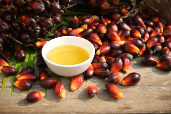 Doctor Dispels the Myth About the Harm of Palm Oil