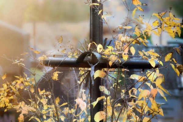 Matīsa Cemetery - the resting place of heroes