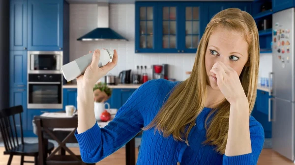 Where the Musty Smell in Your Apartment Comes From and How to Quickly Eliminate It