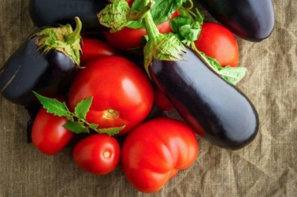 The Five Best Vegetables: Nutritionist Reveals Weight Loss Secrets