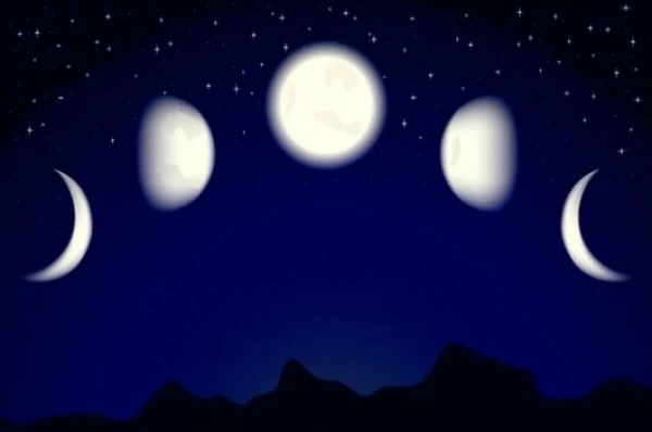 How do the phases of the moon affect plants?