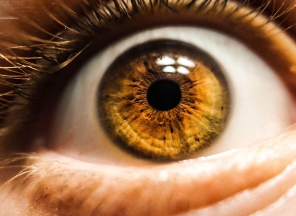 The Terrible Impact of Diabetes on Vision Revealed