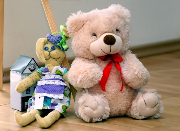 Collecting Signatures for the Abolition of Guardianship Authorities in Latvia