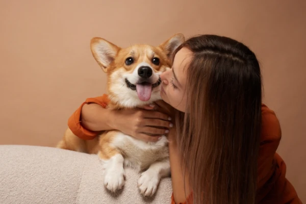 Is it safe to kiss pets?