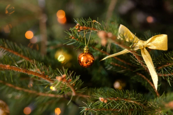 The Expert Explained Why You Shouldn't Put a Live Fir Tree at Home
