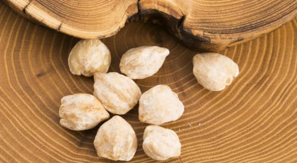 Unknown Nuts: Kukui, Black, and Three Other Rare Species