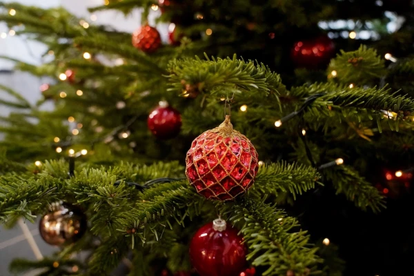 The Weather Will Bring Us Temperature Swings During the Holidays