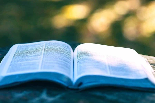 Proverbs and Sayings: The True Sound of Famous Folk Expressions