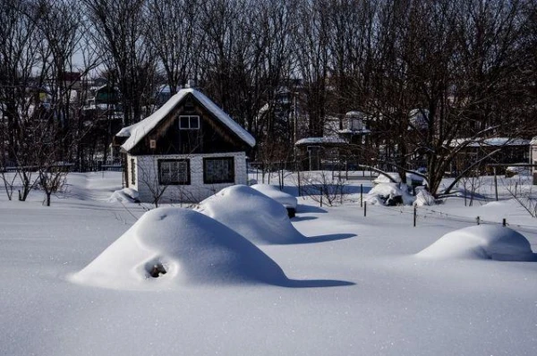 More Snow — More Harvest: Tips for Gardeners