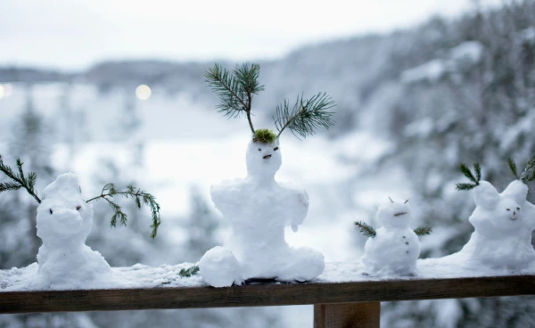 Do you remember there was 49 cm of snow on Christmas? It was relatively recent