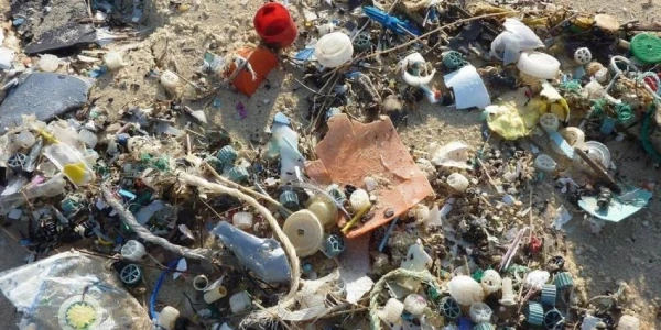 Which method is better: to throw away plastic packaging or to burn it?