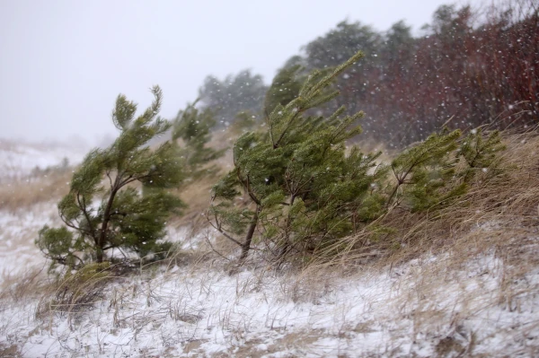 Hurricane Winds Are Coming to Latvia! Meteorologists Warn Latvians