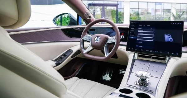 Denza - это стильный китайский бренд.