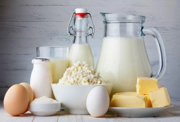 Is it really not recommended for adults to drink whole milk?