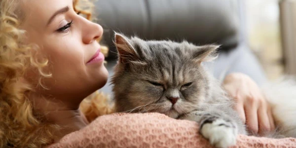 Why Do Cats and Dogs Like Being Petted?