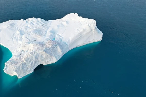 A Deep-Sea Ecosystem Discovered Off the Coast of Greenland