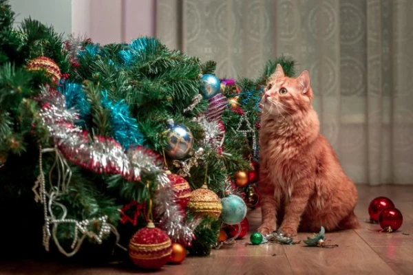 What to do if your pet ate Christmas tree needles?