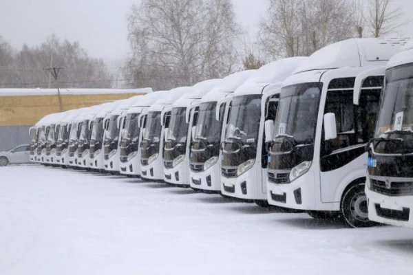 A 15-Year-Old Schoolgirl Gave Birth on a Bus in a Russian Region