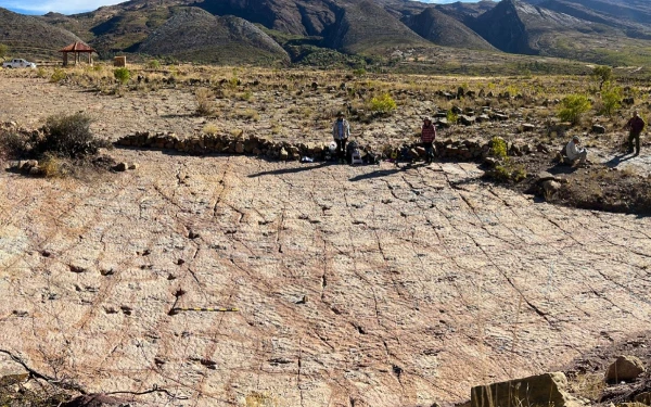 Теперь следы этих рептилий будут тщательно изучены.
