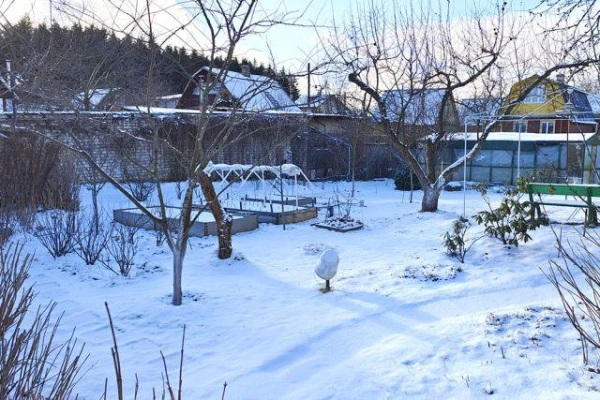 How to Effectively Retain Moisture in a Summer Cottage