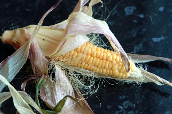 What is the role of corn 'hairs'?