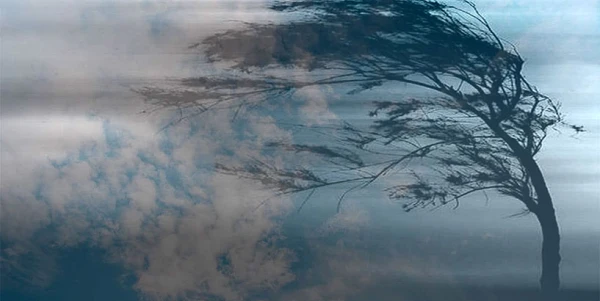 Indeed! Strong winds will hit Latvia on Monday - meteorologists warned residents