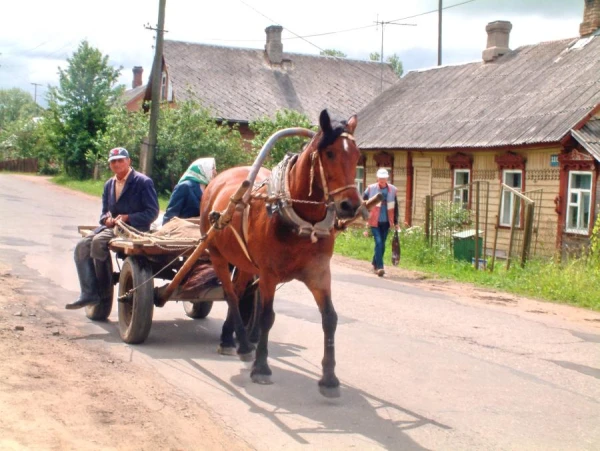 In Latgale, only the elderly remain in the villages - surgeon