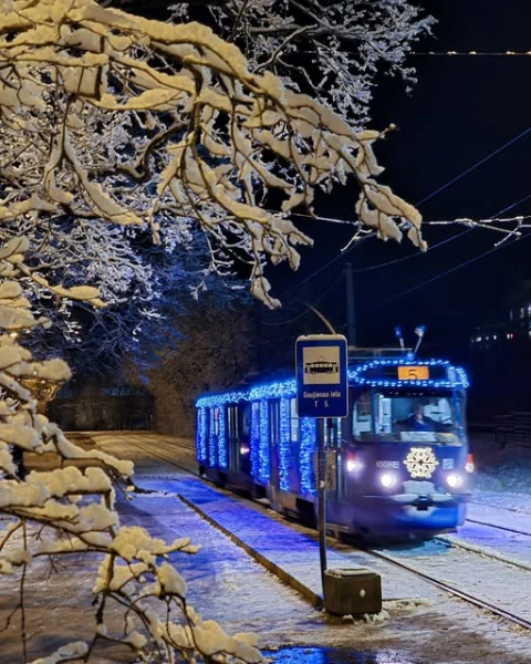 Will public transport in Riga be free on New Year's Eve and how to get around on the festive night