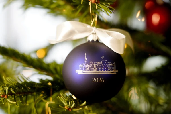 By the end of the week, up to 25 centimeters of snow is expected, and New Year's Eve will be very harsh