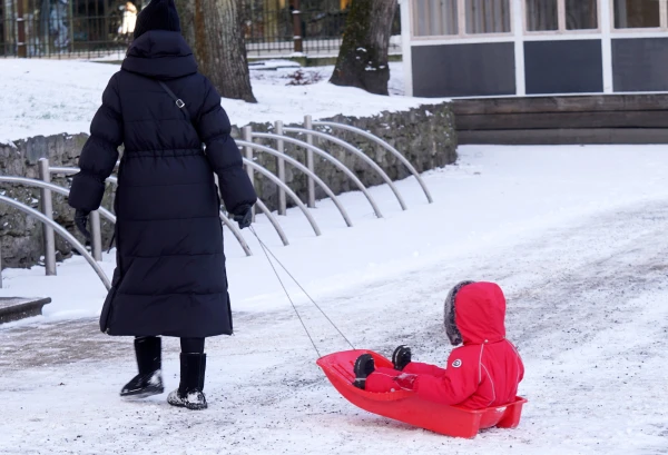 Is It Time to Leave? Population Decline in Latvia and Tax Increases - Strategy until 2050