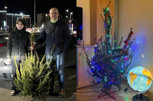 A Vilnius Resident Always Buys the Ugliest Christmas Tree So It Doesn’t Feel Lonely
