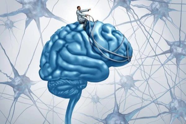 Researchers Discover a Method to Enhance Brain Efficiency in Just Three Minutes