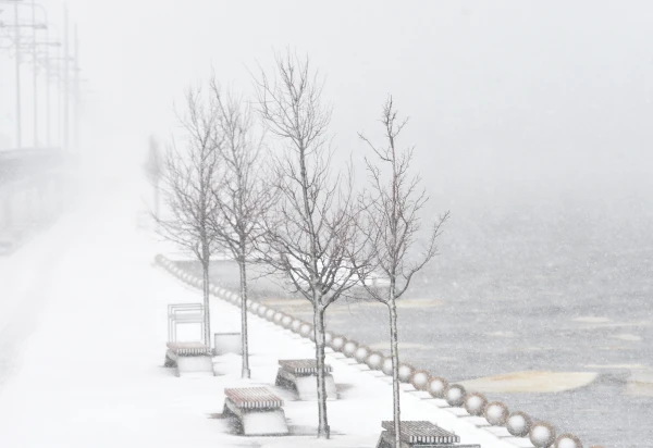 A heavy snowfall is expected on the first day of the year