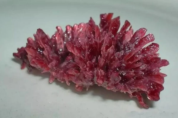 What is Cream of Tartar and How is it Used?