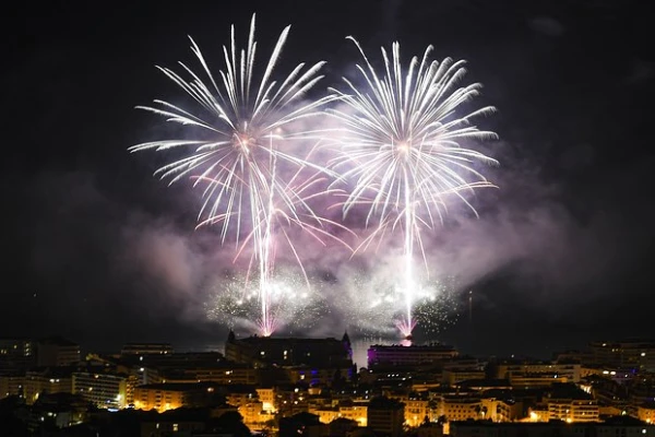 In France, 813 Cars Burned on New Year's Eve