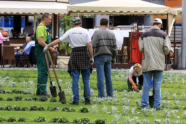 More than 7000 unemployed have been looking for work for four years or longer