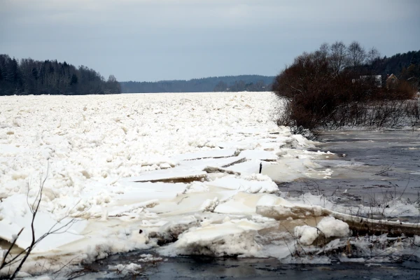 Due to the accumulation of slush in the Gauja, flooding of low-lying areas is possible