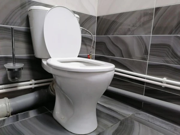 Why the Toilet is Called WC: The History of the Abbreviation from Victorian England