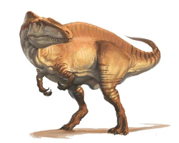 How long did dinosaurs grow?