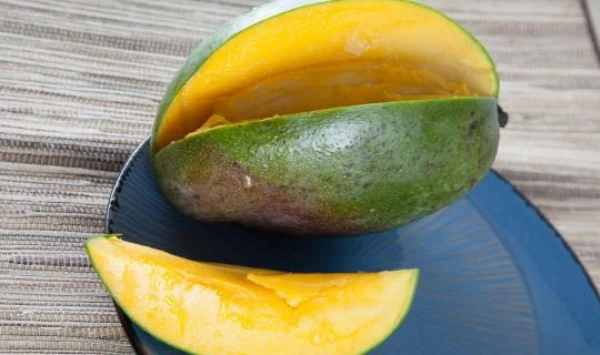 How to Germinate Mango and Avocado Pits: A Step-by-Step Guide