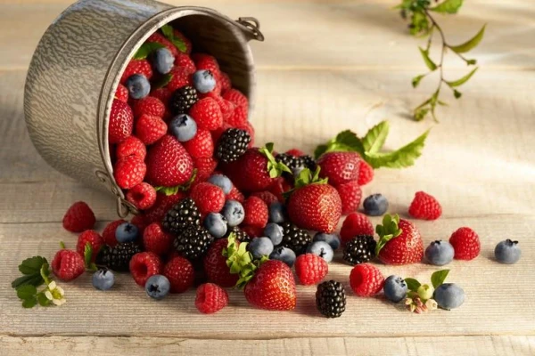 Flavonoids in Action: Study Reveals a Berry That Can Extend Life
