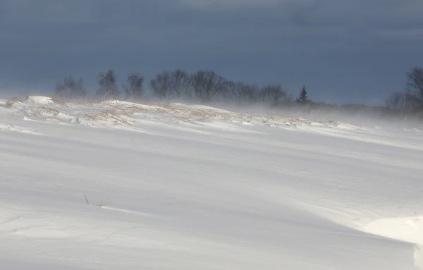 On Friday, a piercing wind will provoke a snowstorm