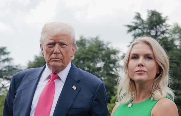 Trump considers different options for acquiring Greenland, including military action - press secretary