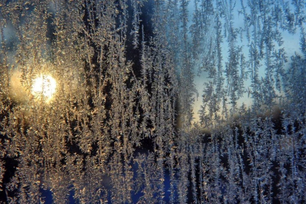 Frosty Weather Will Persist on Thursday