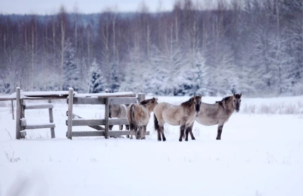 Meteorologists shared the forecast for Sunday