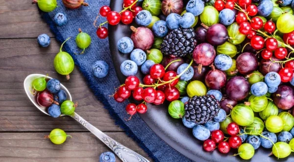 The Most Beneficial Berries for Human Health Identified